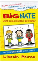 Big Nate Compilation 1: What Could Possibly Go Wrong?