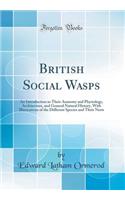 British Social Wasps: An Introduction to Their Anatomy and Physiology, Architecture, and General Natural History, with Illustrations of the Different Species and Their Nests (Classic Reprint)
