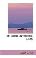 The Animal Parasites of Sheep