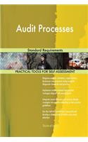 Audit Processes Standard Requirements