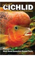 15 Essential Cichlid Fish Facts That You May Have Never Known: Fishlaw1 Must Read Essential Cichlid Facts