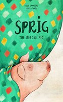 Sprig the Rescue Pig