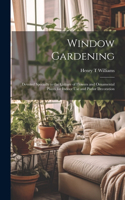 Window Gardening