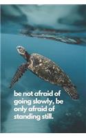 be not afraid of going slowly, be only afraid of standing still.