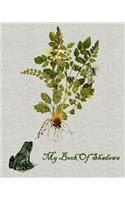 My Book Of Shadows