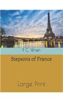 Stepsons of France