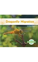 Dragonfly Migration: (Animal Migration Set 2)