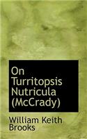 On Turritopsis Nutricula (McCrady)