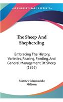 Sheep And Shepherding