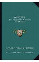 Andree: The Record Of A Tragic Adventure