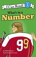 I Can Read Hockey Stories: What's in a Number