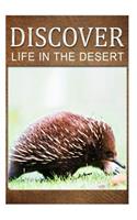 Life in the Desert - Discover