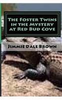 Foster Twins in the Mystery at Redbud Cove