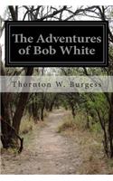 Adventures of Bob White