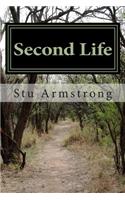 Second Life: Life Revisited in Modern Poetry