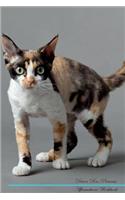 Devon Rex Affirmations Workbook Devon Rex Presents: Positive and Loving Affirmations Workbook. Includes: Mentoring Questions, Guidance, Supporting You.