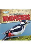 A Bird Watcher's Guide to Woodpeckers