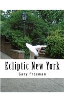 Ecliptic New York