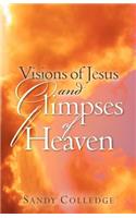 Visions of Jesus and Glimpses of Heaven
