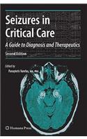 Seizures in Critical Care: A Guide to Diagnosis and Therapeutics