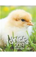 Chicks 2019 Calendar