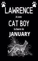 LAWRENCE a cute cat boy is born in January