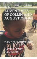 Adventures of Collin & August Moon