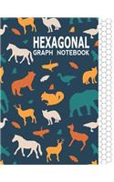 Hexagonal Graph Notebook