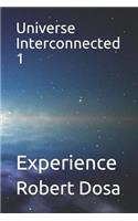 Universe Interconnected 1: Experience(1 Universe Interconnected)
