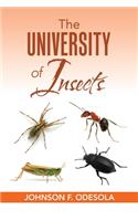 University of Insects