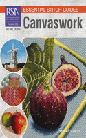 RSN Essential Stitch Guides: Canvaswork: Large Format Edition(RSN Essential Stitch Guides)