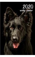 2020 Weekly Planner: 6 X 9 In. Black German Shepherd 52 Weekly Calendar Schedule Organizer Appointment Journal Notebook for Dog Fans