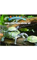 How Turtles Grow Up: (Animals Growing Up)
