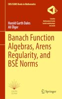 Banach Function Algebras, Arens Regularity, and BSE Norms