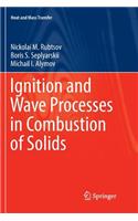 Ignition and Wave Processes in Combustion of Solids