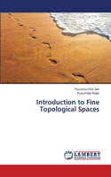 Introduction to Fine Topological Spaces