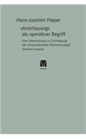 Anschauung als operativer Begriff