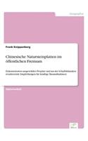 Chinesische Natursteinplatten im öffentlichen Freiraum: Dokumentation ausgewählter Projekte und aus der Schadbildanalyse resultierende Empfehlungen für künftige Baumaßnahmen