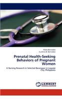 Prenatal Health-Seeking Behaviors of Pregnant Women