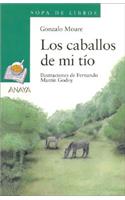 Caballos de Mi Tio