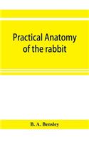 Practical anatomy of the rabbit; an elementary laboratory textbook in mammalian anatomy