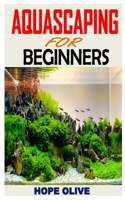 Aquascaping for Beginners: Discover everything you need to know about aquascaping