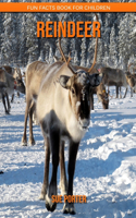 Reindeer