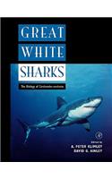 Great White Sharks