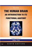 The Nolte's the Human Brain
