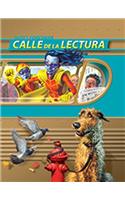 Reading 2011 Spanish Student Edition (Hc) Grade 6.2