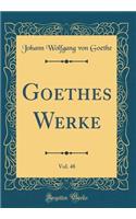 Goethes Werke, Vol. 48 (Classic Reprint)