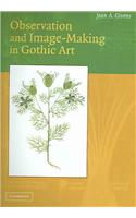 Observation and Image-Making in Gothic Art