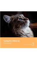 Caring for a Blind Cat