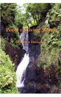 Pools of Living Water
